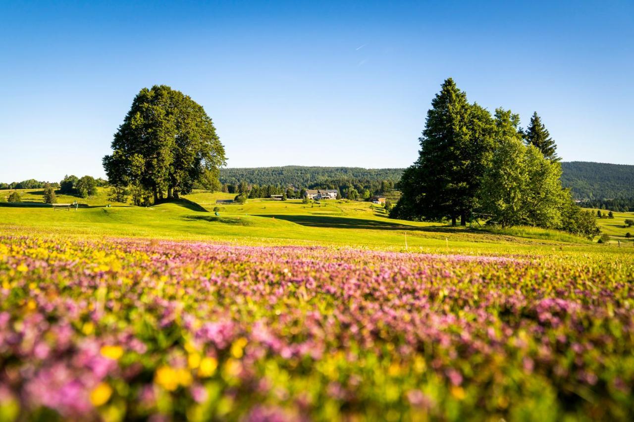 Hotel Domaine Du Mont-Saint-Jean Les Rousses Zewnętrze zdjęcie
